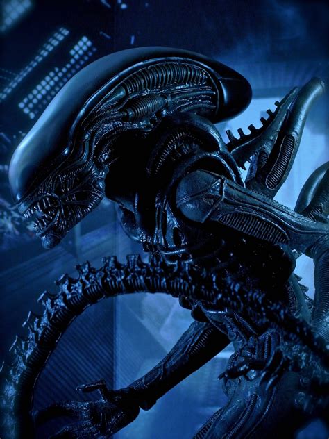 ¡Alien, la película que te mantendrá en vilo con extraterrestres y una trama claustrofóbica!