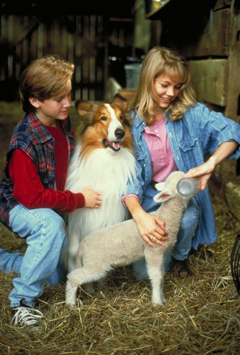  Lassie, un drama familiar conmovedor protagonizado por un perro inteligente y leal